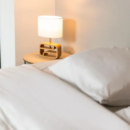 Magnifique Duplex - Cdg Apartment